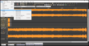 Montage audacity3.png